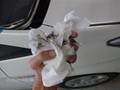 Toyota Prius 2010-2011 Windshield Replaced - dirty towels